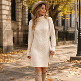Bronte | Cable Knit Turtleneck Dress